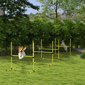 Dog agility training equipment